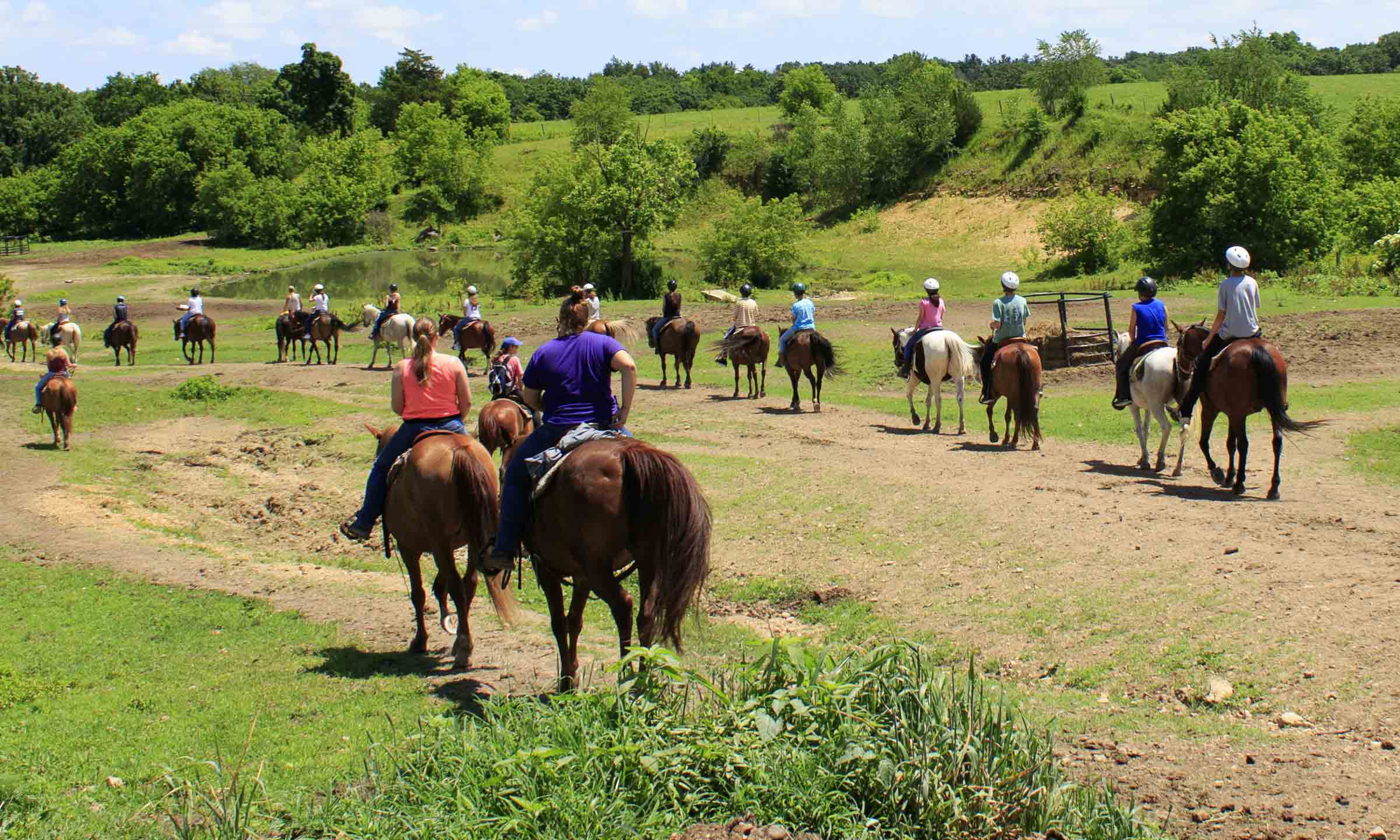 people riding horses on the trail